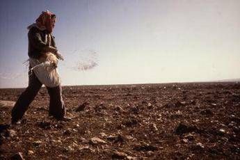 FAO urges nations to boost response to climate change in agricultural sector FAO urges nations to boost response to climate change in agricultural sector
