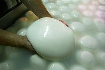 Mozzarelle senza latte, sequestrato un caseificio nel salernitano Mozzarelle senza latte, sequestrato un caseificio nel salernitano