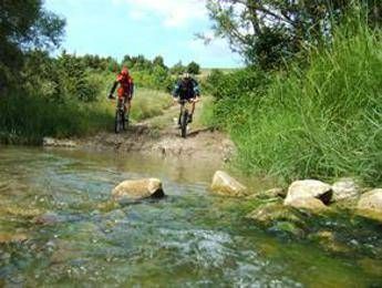 E' tempo di 'bikenomics', l'economia a due ruote in Europa vale 200 miliardi l'anno E' tempo di 'bikenomics', l'economia a due ruote in Europa vale 200 miliardi l'anno