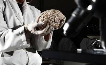 Cervello - Nell'ipotalamo le 'tracce' dei ricordi che fanno paura Nell'ipotalamo le 'tracce' dei ricordi che fanno paura