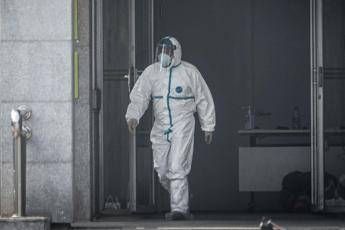 Virus, per nuovo vaccino al via test su animali Virus, per nuovo vaccino al via test su animali