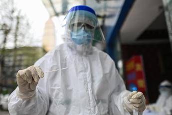 Coronavirus, Guerra (Oms): Problema maggiore è tracciatura contatti Coronavirus, Guerra (Oms): Problema maggiore è tracciatura contatti