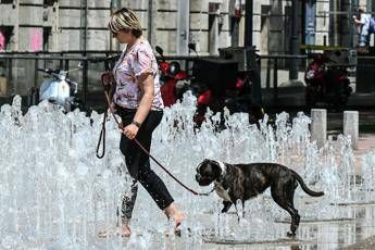 Con il caldo rischi aritmia e cali pressione per i cardiopatici Con il caldo rischi aritmia e cali pressione per i cardiopatici