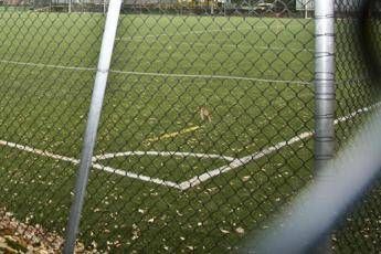 Botte alla partita dei pulcini, Daspo a due genitori Botte alla partita dei pulcini, Daspo a due genitori