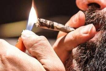 Cannabis, 100 parlamentari scrivono a Conte: È tempo di legalizzarla Cannabis, 100 parlamentari scrivono a Conte: È tempo di legalizzarla