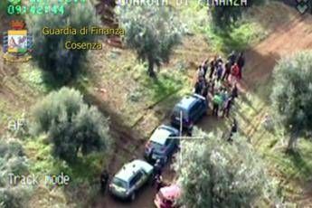 Schiavi nei campi: un euro all'ora, senza pause né cibo /Video Schiavi nei campi: un euro all'ora, senza pause né cibo /Video
