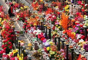 Ognissanti, fiori ai defunti da 7 milioni di italiani Ognissanti, fiori ai defunti da 7 milioni di italiani