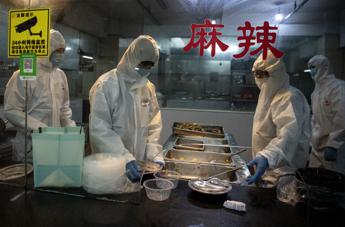 Coronavirus, crolla produzione industriale in Cina
