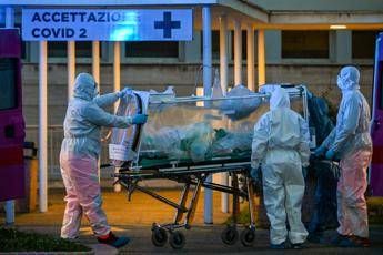 Nobel a medici e infermieri cinesi e italiani, la proposta Nobel a medici e infermieri cinesi e italiani, la proposta