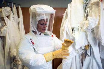 Coronavirus, non è nato in laboratorio, ecco le prove Coronavirus, non è nato in laboratorio, ecco le prove