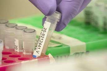Coronavirus, 292 scienziati a Conte: Ecco nostro piano anti-contagio Coronavirus, 292 scienziati a Conte: Ecco nostro piano anti-contagio