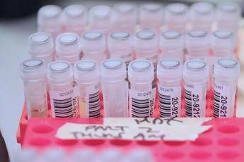 Coronavirus, oltre 9.800 morti nel mondo: quasi la metà in Europa Coronavirus, oltre 9.800 morti nel mondo: quasi la metà in Europa