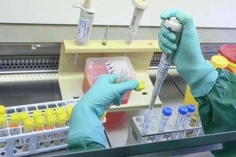 Coronavirus, nuovi casi in Islanda: è stato d'emergenza Coronavirus, nuovi casi in Islanda: è stato d'emergenza