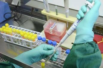 Coronavirus, malattia ha 2 fasi Coronavirus, malattia ha 2 fasi