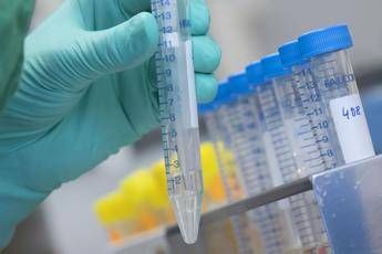 Coronavirus, scoperto come si lega alle cellule umane Coronavirus, scoperto come si lega alle cellule umane