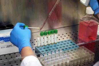 Coronavirus, vaccino è molto difficile Coronavirus, vaccino è molto difficile