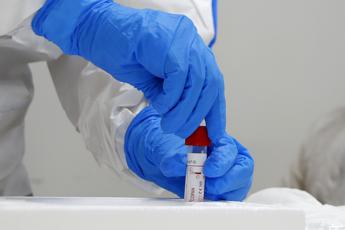 Coronavirus, stop Antitrust a sito che commercializza test rapido