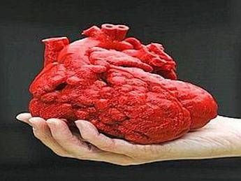 Usa, Roland salvato a 14 mesi da cuore stampato in 3D Usa, Roland salvato a 14 mesi da cuore stampato in 3D