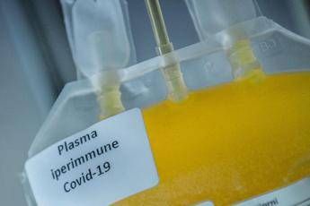 Coronavirus, S.Matteo Pavia: su plasma richieste da tutta Italia Coronavirus, S.Matteo Pavia: su plasma richieste da tutta Italia