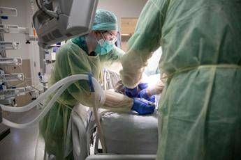 Coronavirus, in Belgio 2.454 nuovi casi e altri 283 morti Coronavirus, in Belgio 2.454 nuovi casi e altri 283 morti
