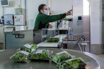 Fase 2, accordo governo-parti sociali: Rafforzata salute lavoratori Fase 2, accordo governo-parti sociali: Rafforzata salute lavoratori