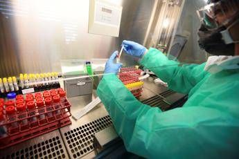 Covid, Oms: Irrealistico vaccino subito e accessibile a tutti Covid, Oms: Irrealistico vaccino subito e accessibile a tutti