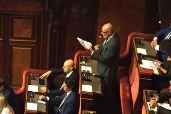 De Falco: Voterò la fiducia al governo De Falco: Voterò la fiducia al governo