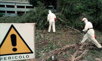 Amianto, 85 anni per smaltire l'asbesto in Italia. Patto oncologi-istituzioni Amianto, 85 anni per smaltire l'asbesto in Italia. Patto oncologi-istituzioni
