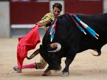 Basta corrida & co, petizione all'Onu per dire #stopsacrificianimali Basta corrida & co, petizione all'Onu per dire #stopsacrificianimali