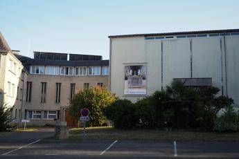 Test 'selvaggi' su malati Alzheimer, orrore in Francia Test 'selvaggi' su malati Alzheimer, orrore in Francia