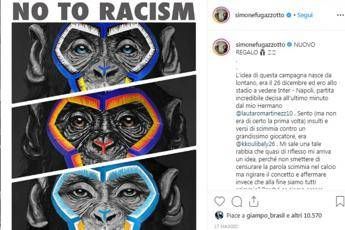 Scimmie contro il razzismo, la spiegazione dell'artista Scimmie contro il razzismo, la spiegazione dell'artista
