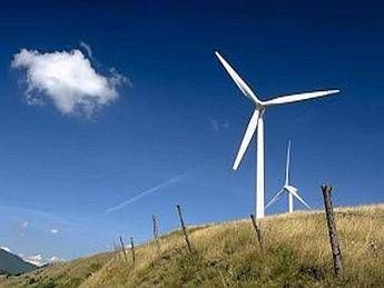 Lipu, in Basilicata rapace di specie rara ucciso da impianto eolico Lipu, in Basilicata rapace di specie rara ucciso da impianto eolico