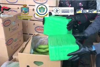 Droga nascosta nelle banane, maxisequestro nel porto di Gioia Tauro Droga nascosta nelle banane, maxisequestro nel porto di Gioia Tauro