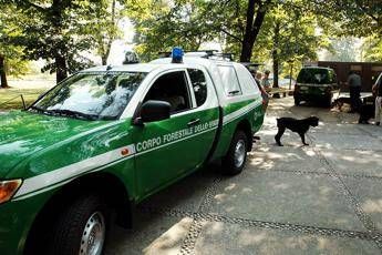 La Forestale passa ai Carabinieri La Forestale passa ai Carabinieri