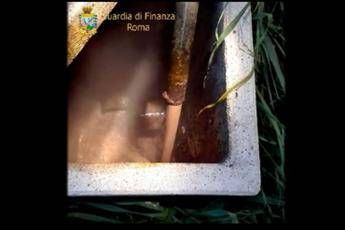 Roma, frantoio smaltiva illegalmente scarti di lavorazione /Video Roma, frantoio smaltiva illegalmente scarti di lavorazione /Video