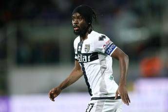 Gervinho chiede scusa e torna ad allenarsi in gruppo Gervinho chiede scusa e torna ad allenarsi in gruppo