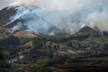 Incendio a Gran Canaria, 4mila evacuati Incendio a Gran Canaria, 4mila evacuati