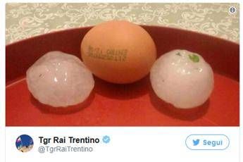 Chicchi grandi come uova, grandinata super su Trento e Bolzano Chicchi grandi come uova, grandinata super su Trento e Bolzano