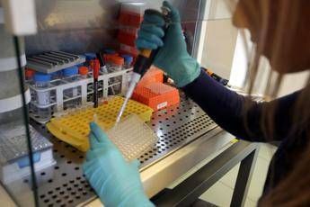 Nuovo virus, per la prima volta ricreato fuori dalla Cina