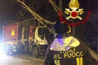 Roma, camion rifiuti finisce contro albero: interrotta linea tram 8 Roma, camion rifiuti finisce contro albero: interrotta linea tram 8