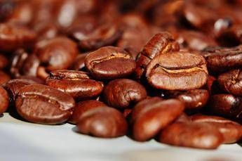 Le cialde compatibili Nescafé su Caffecaffeshop Le cialde compatibili Nescafé su Caffecaffeshop