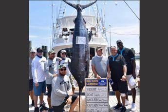 Jordan fuoriclasse anche a pesca, preso marlin da 200 chili Jordan fuoriclasse anche a pesca, preso marlin da 200 chili