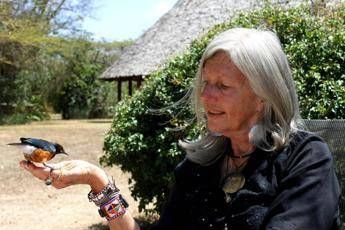 Kenya, spari contro scrittrice ambientalista italiana: è grave Kenya, spari contro scrittrice ambientalista italiana: è grave