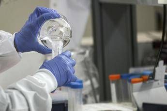 Coronavirus, in Italia ok veloce a farmaci promettenti: ecco possibili cure Coronavirus, in Italia ok veloce a farmaci promettenti: ecco possibili cure