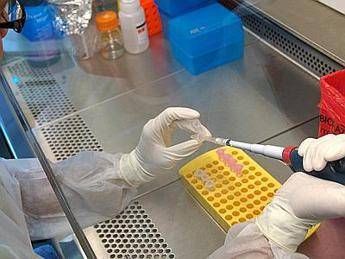 Stamina, stop infusioni a Brescia. Ira di Andolina: ''Viola la legge'' Stamina, stop infusioni a Brescia. Ira di Andolina: ''Viola la legge''
