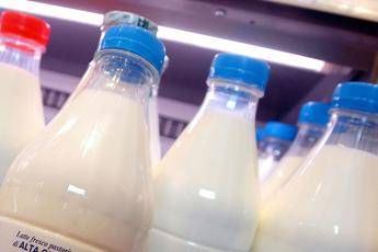 Covid, proteina del latte aiuta il sistema immunitario Covid, proteina del latte aiuta il sistema immunitario