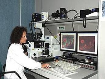 Oltre 275 mln spesa per consulenze in sanità nel 2012 Oltre 275 mln spesa per consulenze in sanità nel 2012