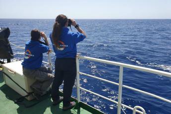 Mediterranea salva 54 naufraghi: Ora porto sicuro