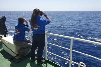 A Malta i migranti a bordo della Alex, missione quasi compiuta