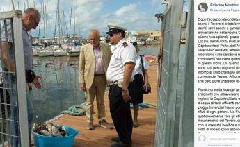 Tevere: detriti e pesci morti, l'allarme del sindaco di Fiumicino Tevere: detriti e pesci morti, l'allarme del sindaco di Fiumicino